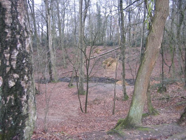 img_4653.jpg