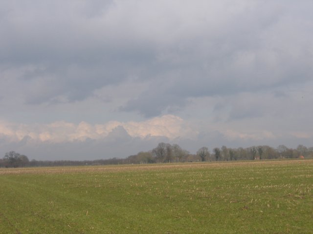 img_4717.jpg