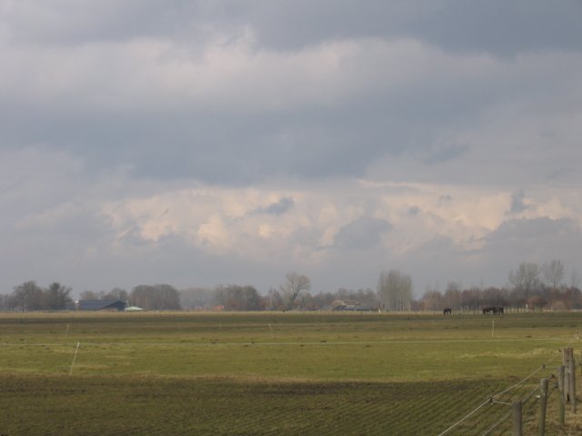 img_4719.jpg