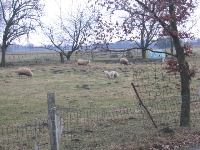 img_4727.jpg