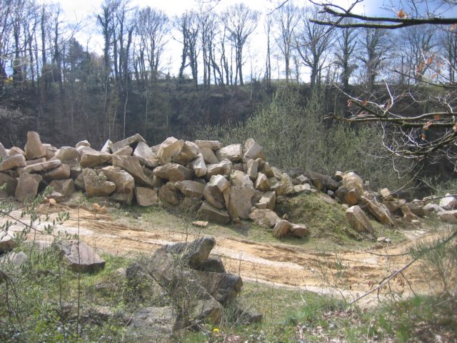 photo26.jpg