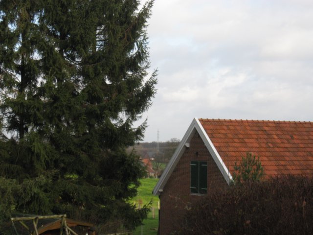 img_1379.jpg
