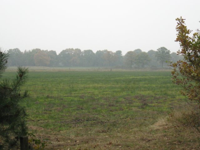 img_1073.jpg