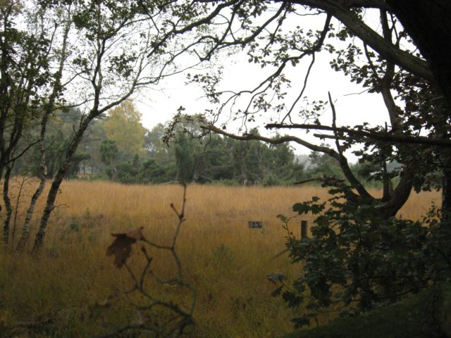 img_1074.jpg