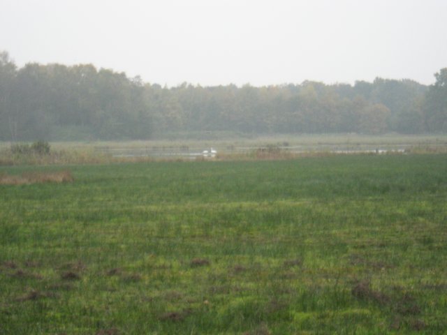 img_1075.jpg