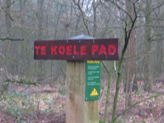 img_6654.jpg