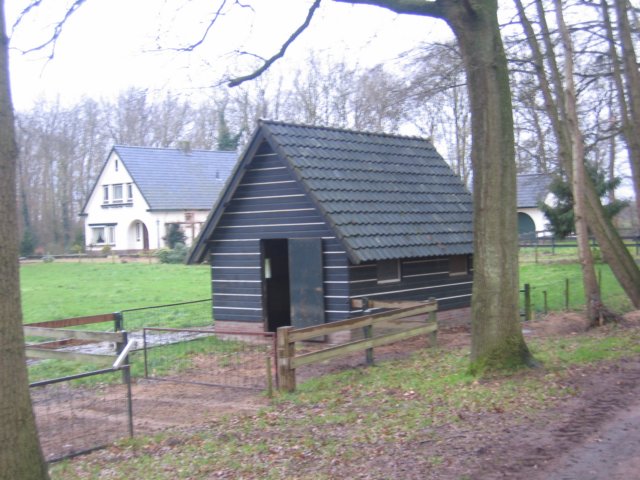 img_6660.jpg