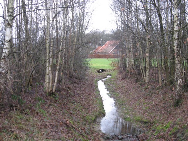img_1635.jpg