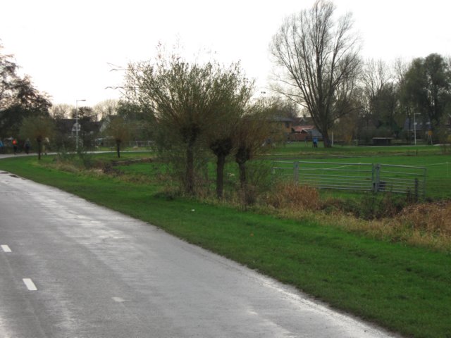 img_4867.jpg