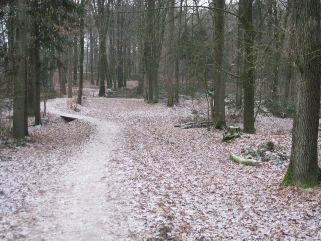 img_5480.jpg