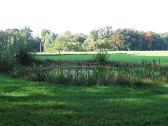 img_3766.jpg