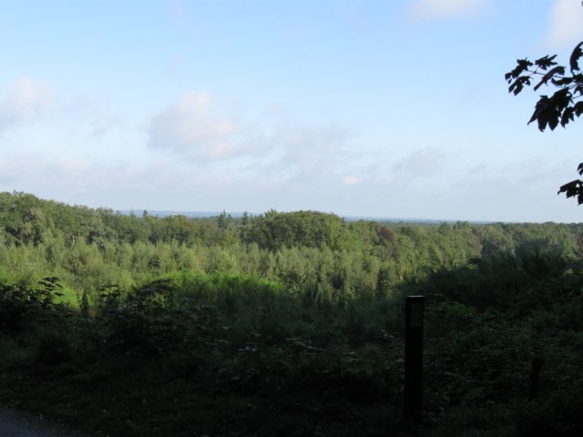 img_3774.jpg