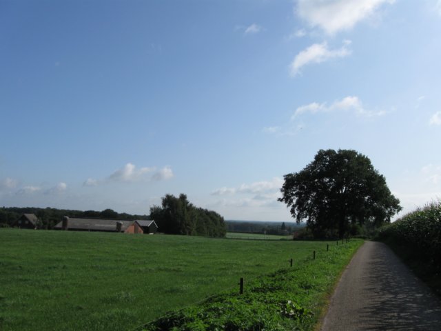 img_3777.jpg
