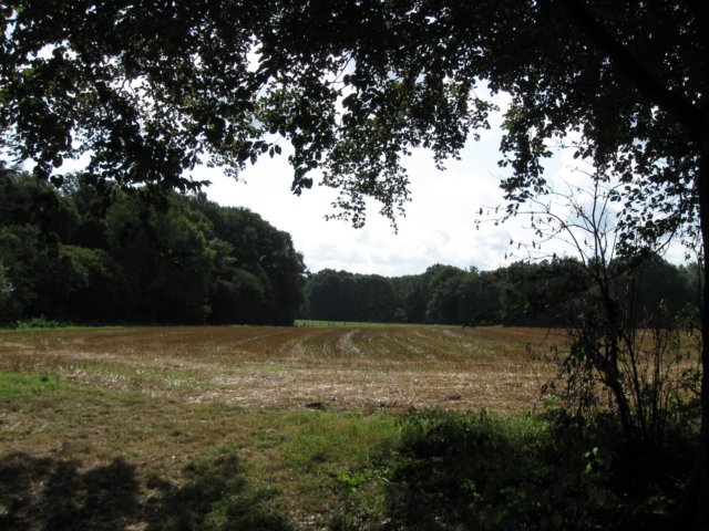 img_3778.jpg