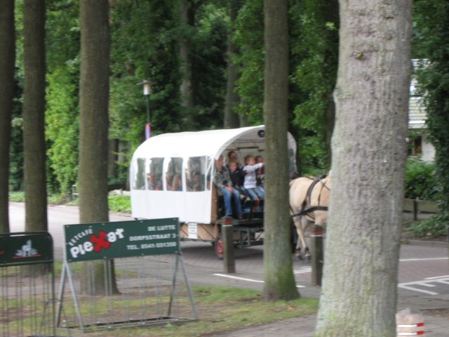 img_3785.jpg