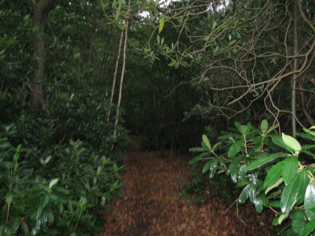 img_3798.jpg