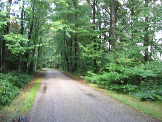 img_3805.jpg