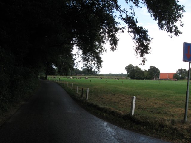 img_3807.jpg
