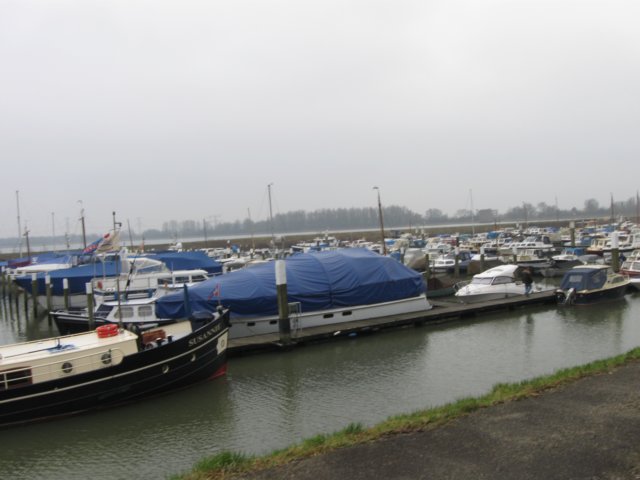 img_0474.jpg
