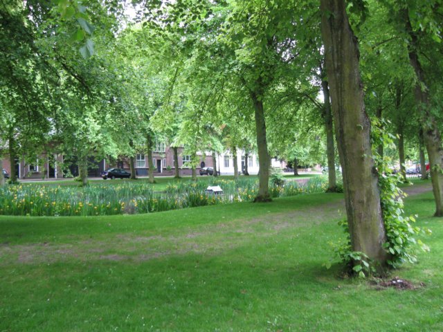 img_1805.jpg