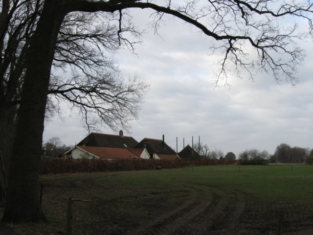 img_0910.jpg