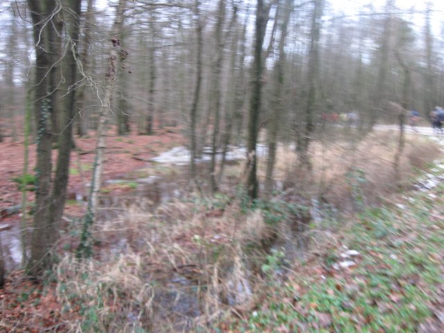 img_5223.jpg