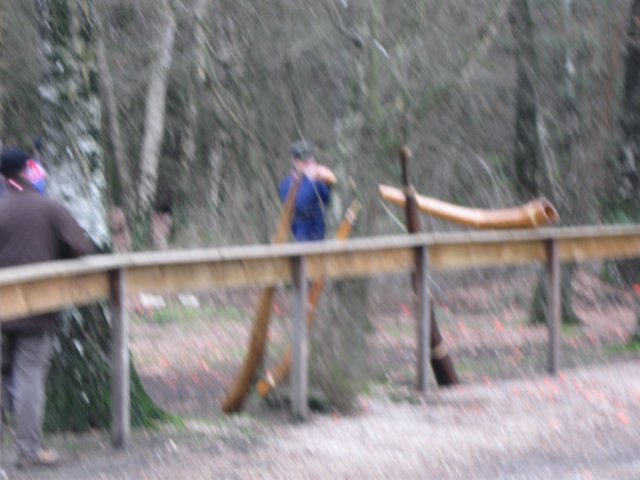 img_5237.jpg
