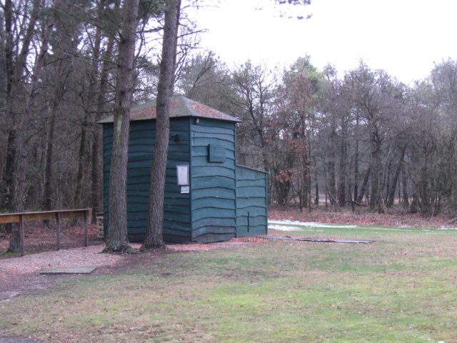 img_5238.jpg