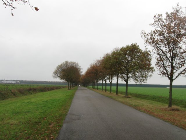 img_4726.jpg