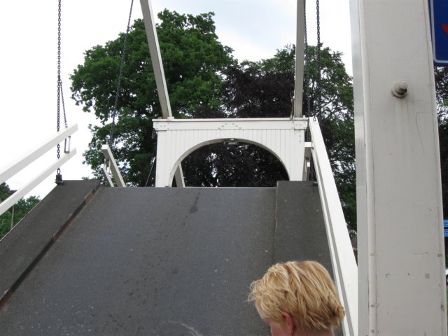 img_2239.jpg