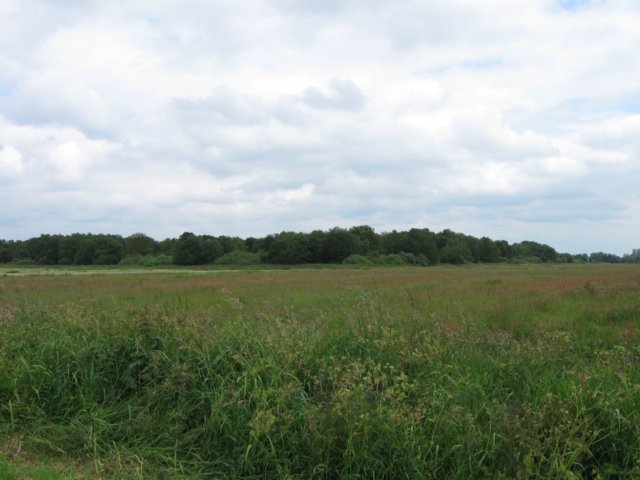 img_2264.jpg