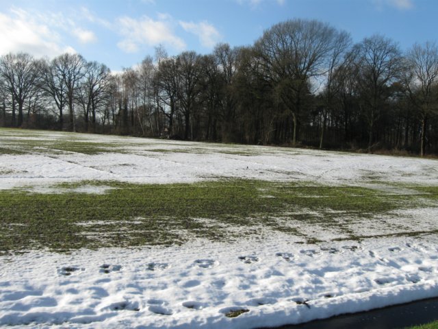 img_5176.jpg