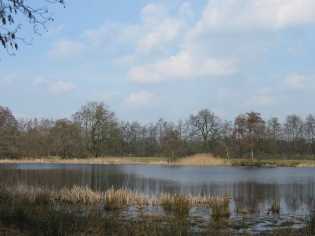 img_0665.jpg