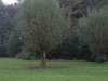 img_4252_small.jpg