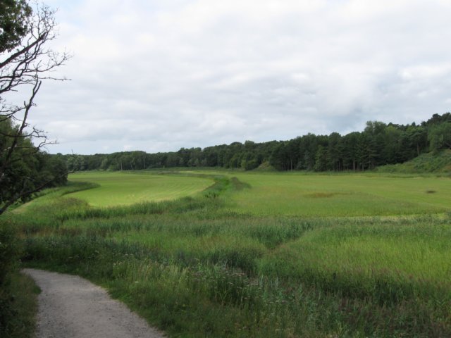 img_3655.jpg