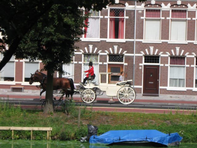 img_3681.jpg