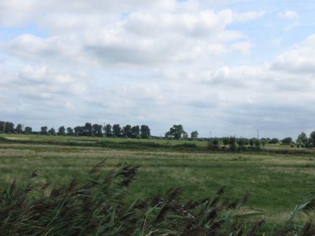 img_3693.jpg