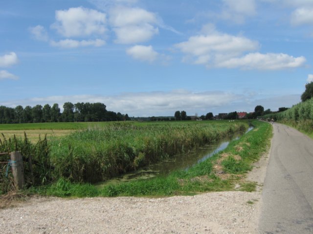img_3695.jpg