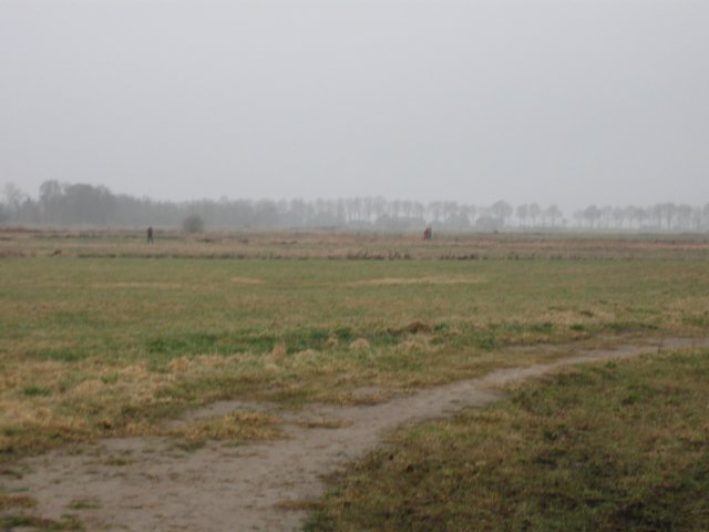 img_0194.jpg
