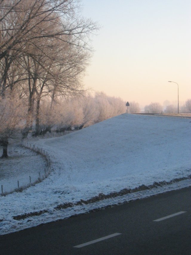 img_5513.jpg