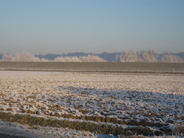 img_5522.jpg