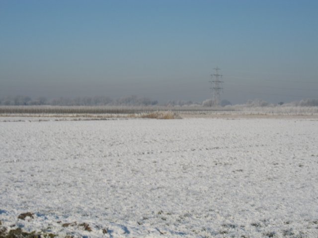 img_5550.jpg