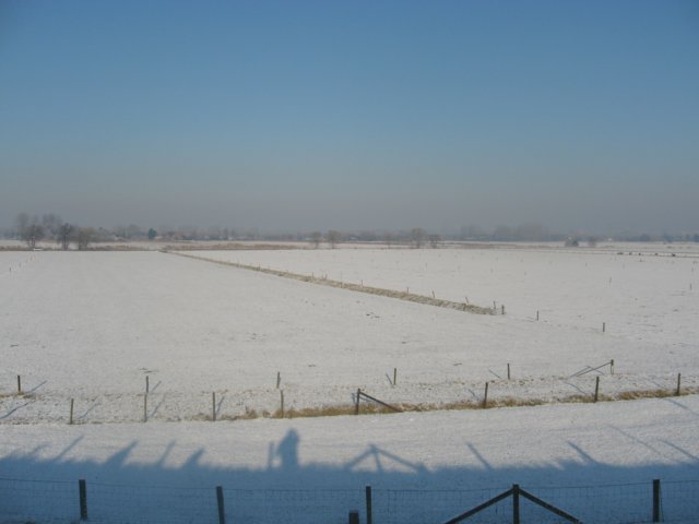 img_5575.jpg