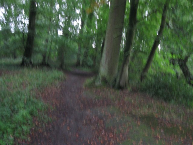 img_4204.jpg