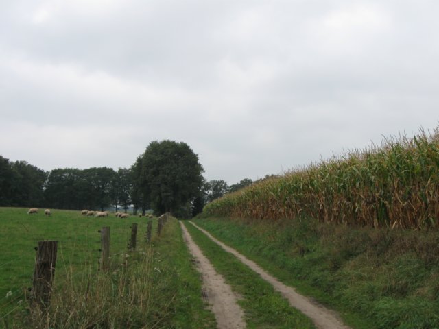 img_4228.jpg