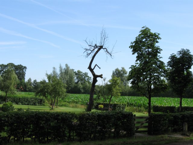 img_2580.jpg