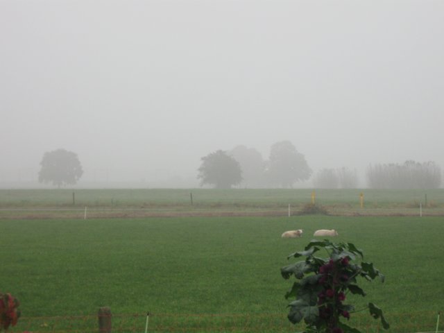 img_4554.jpg