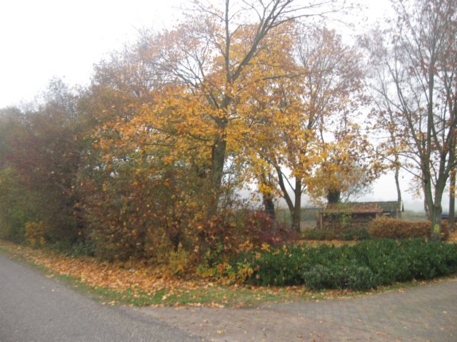 img_4557.jpg