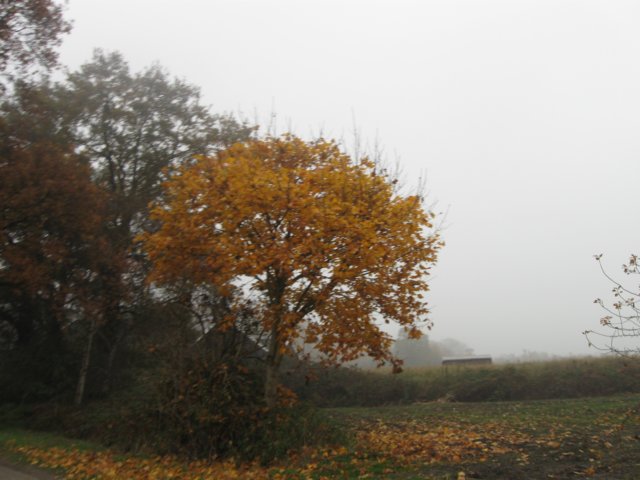img_4558.jpg