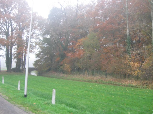 img_4559.jpg